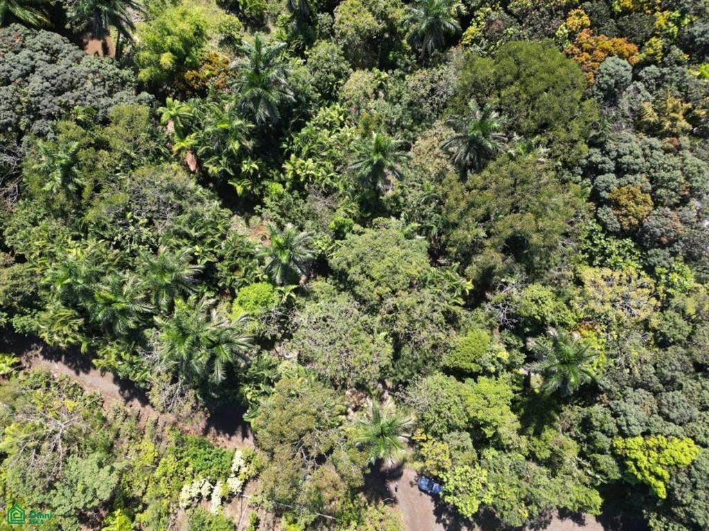  Calle INCAE - Photo 1