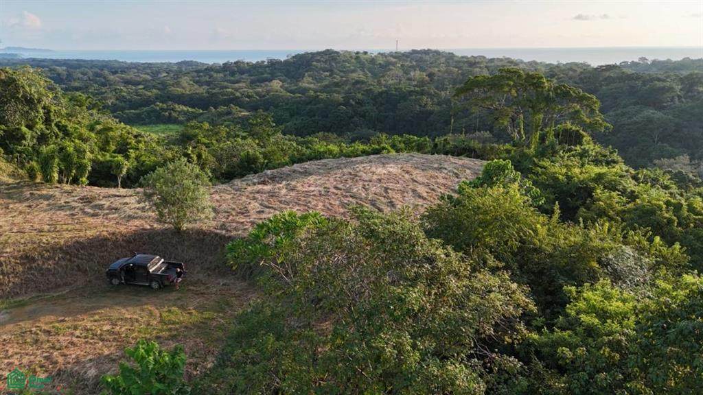  Playa Ostional/Nosara - Photo 1