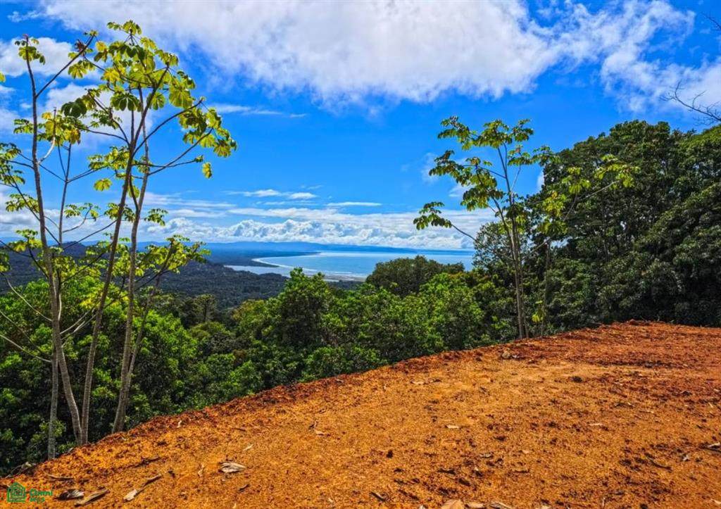 Ballena Views, Cinco Address Not Published - Photo 1