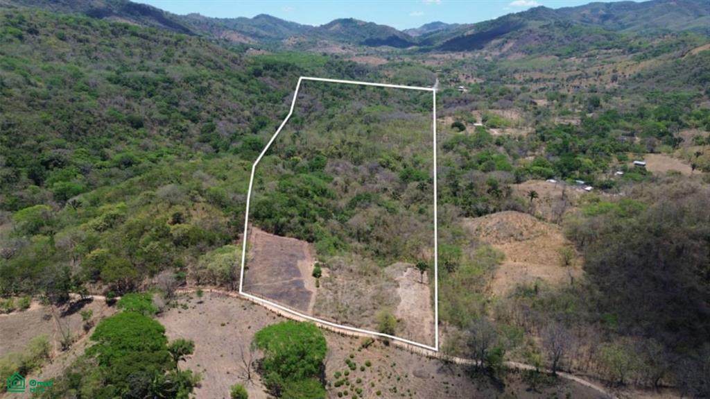  Lot 3 Hectares - Photo 1