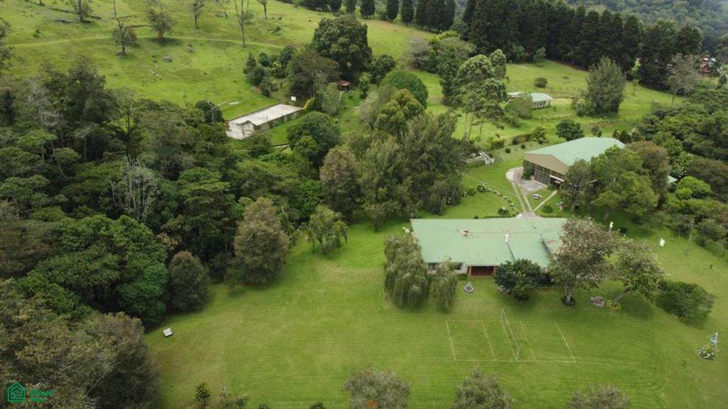  Calle Molina - Photo 1