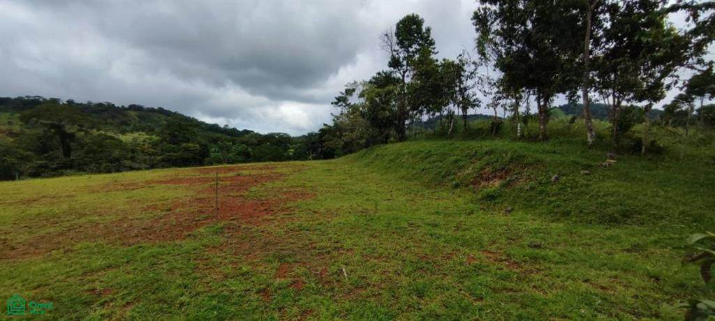 Ruta nacional 320 Bijagual De Turrubares Carara, - Photo 1