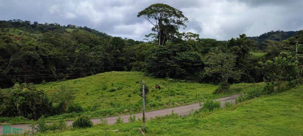 Ruta nacional 320 Bijagual De Turrubares Carara, - Photo 1