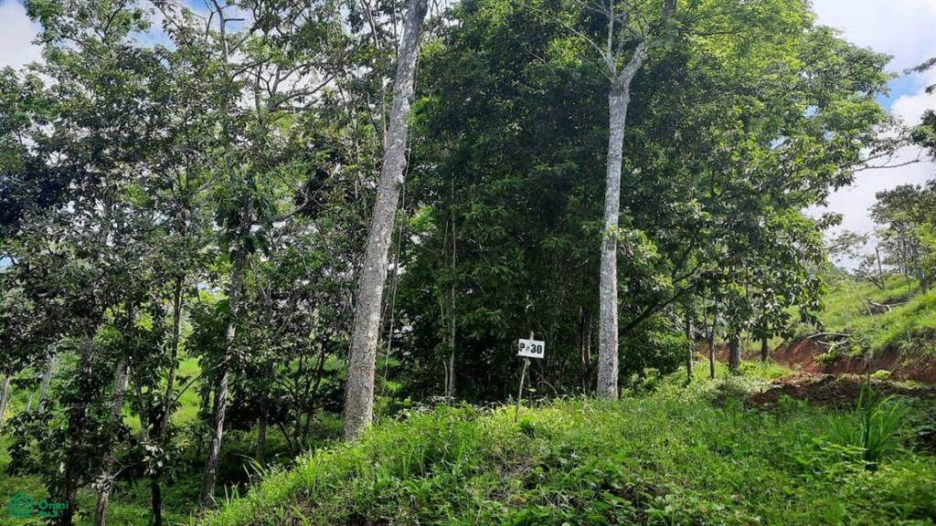 s/n Calle Hermosa - Photo 1