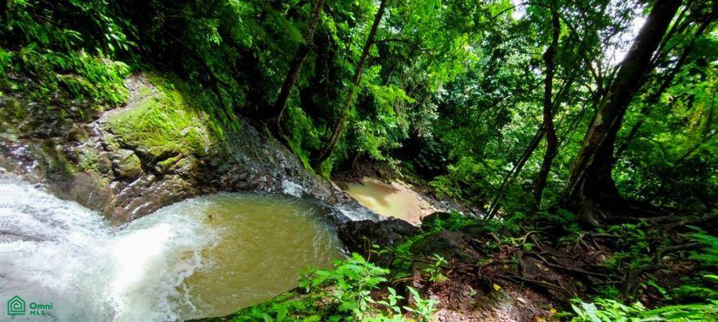 s/n Las Pilas Pirris - Photo 1