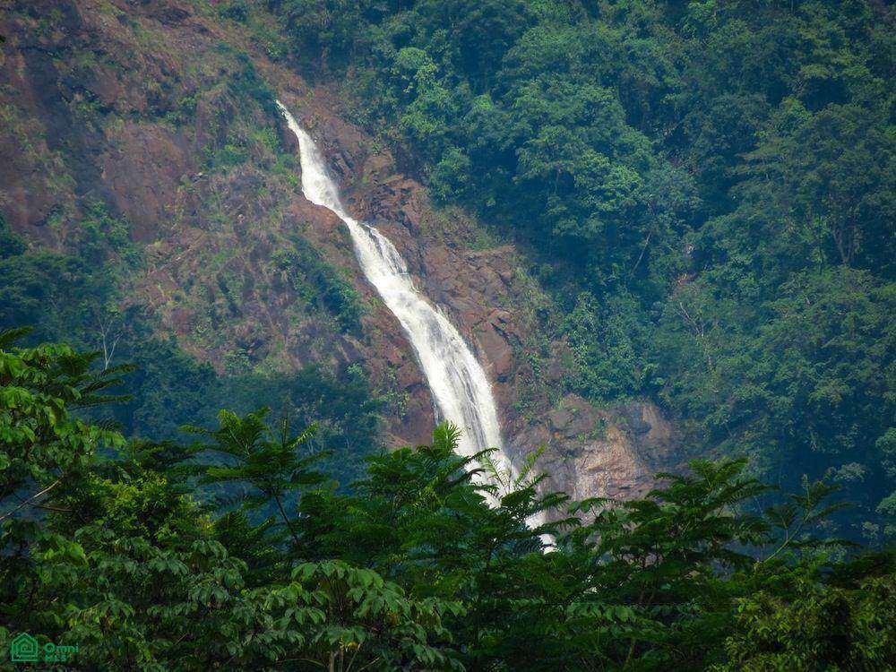  Carara Estates Ocean View Jardin Escondido - Photo 1