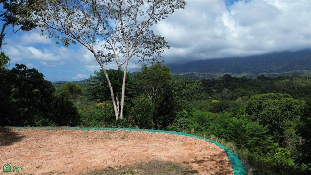 s/n Finca Marañon Ojochal, Calle C - Photo 1