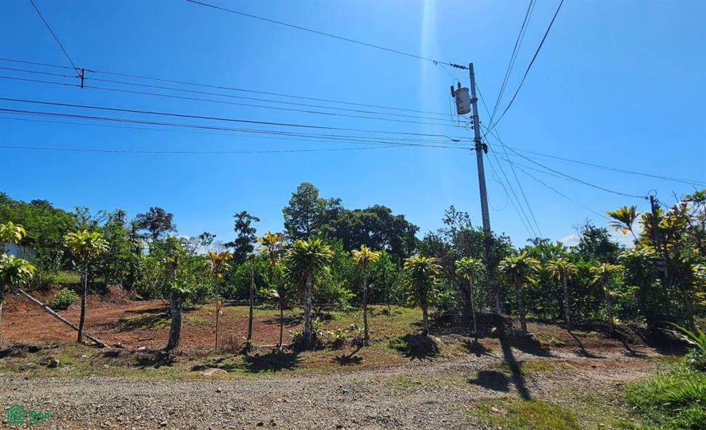  Citrus Farm 6042M² - Photo 1