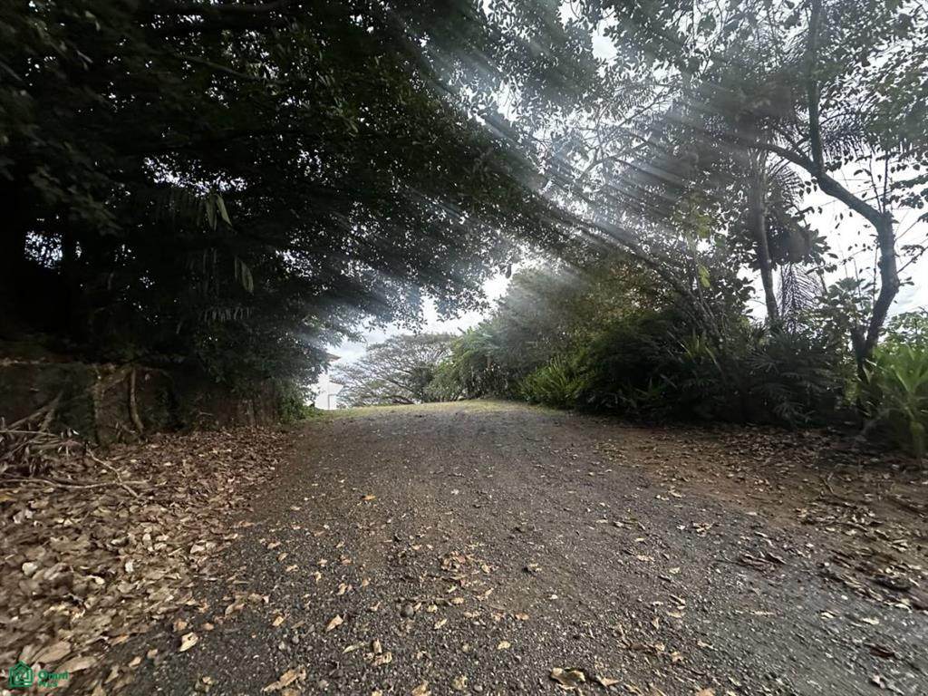 s/n Canada Hills - Photo 1