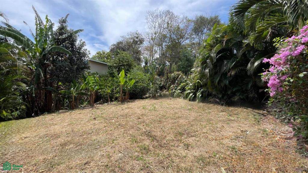 20506 Placillo - Photo 1