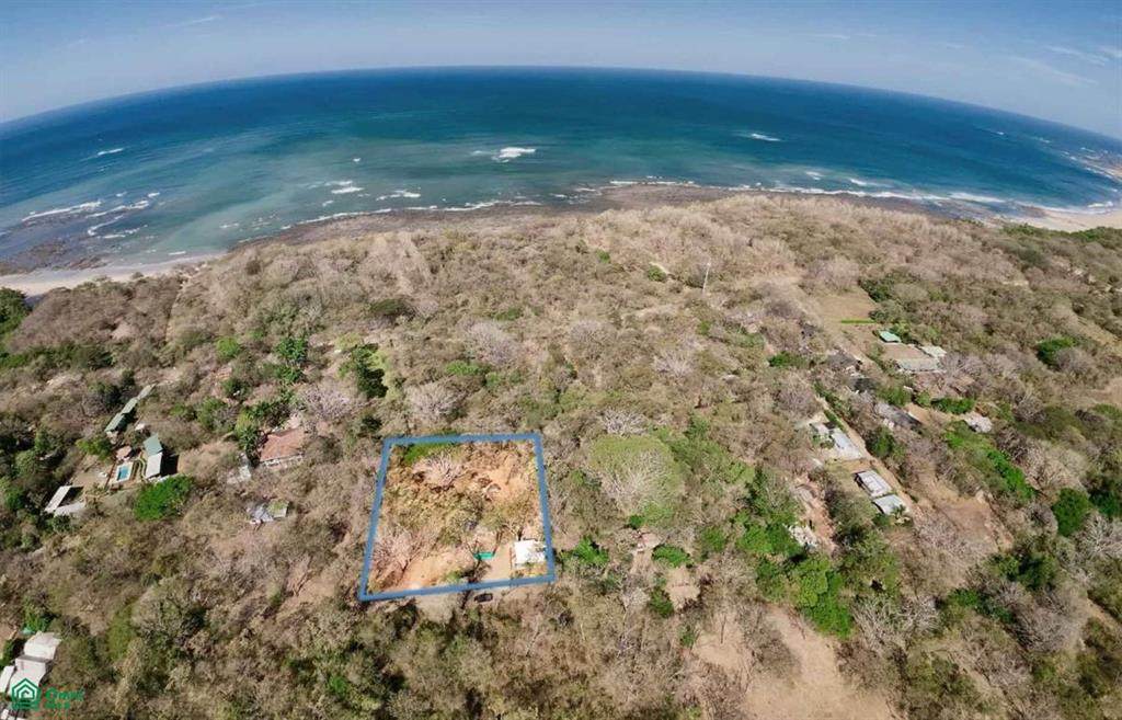 1 Lagartillo - Photo 1