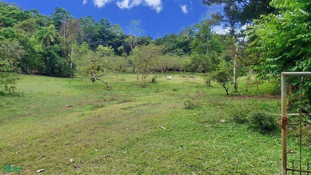  Finca 517-Acres Tierras Morenas - Photo 1