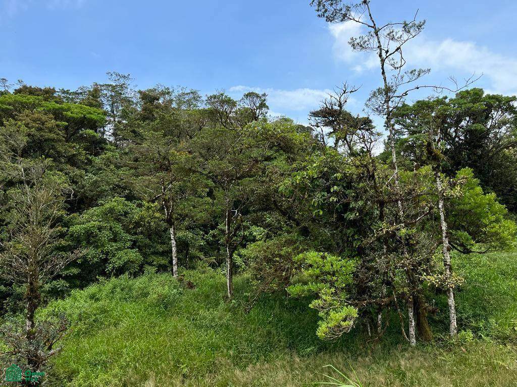  Address Not Published - Photo 1