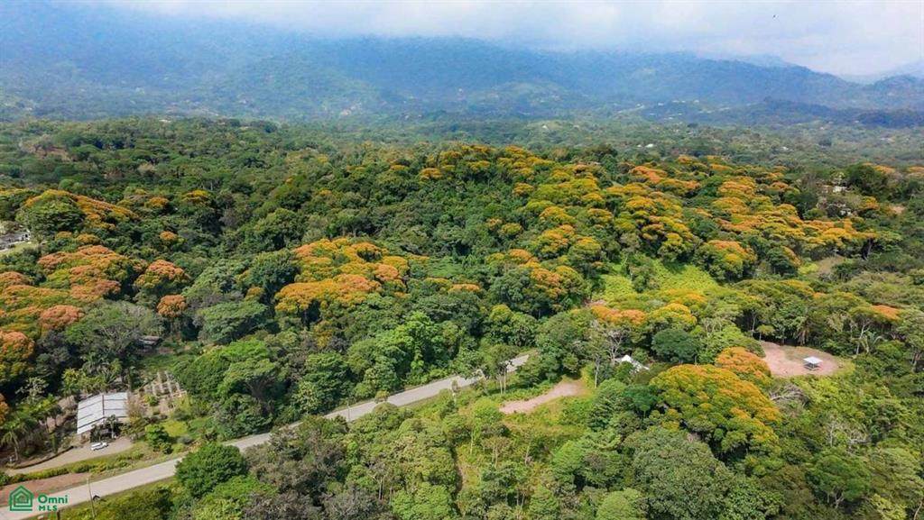  Calle Paraiso - Photo 1