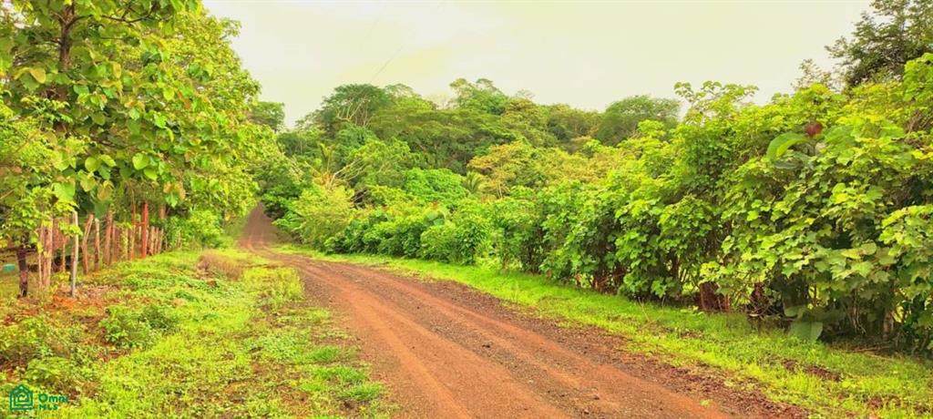  Pe&ntilde;on De Guacalillo - Photo 1