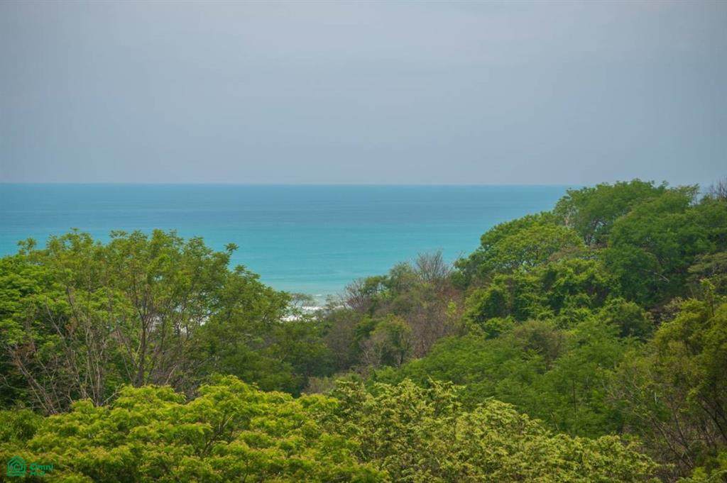  Santa Teresa Prime Jungle Retreat With Sunset View - Photo 1