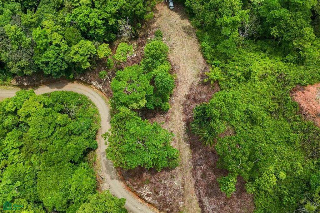 53 Costa Azul - Photo 1