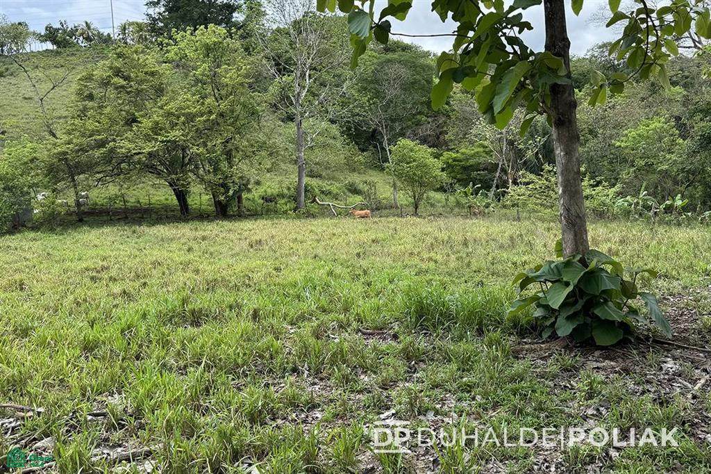  Address Not Published - Photo 1