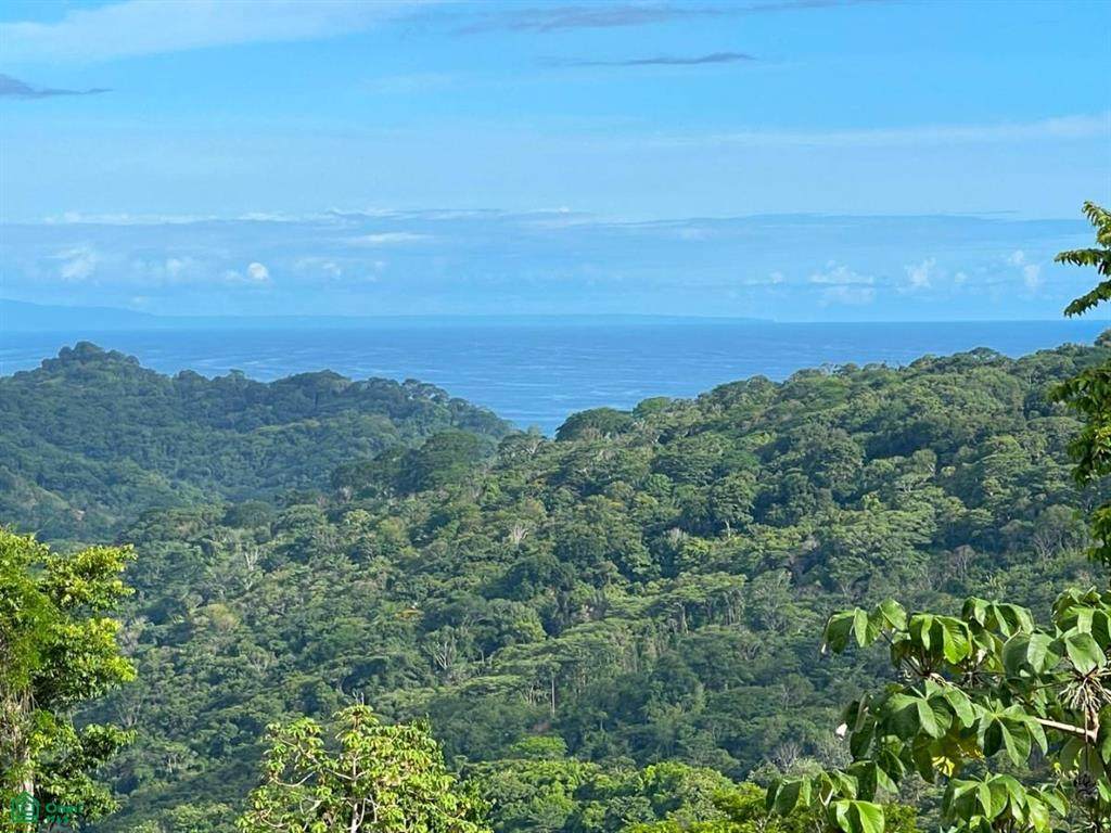  Dominical - Photo 1