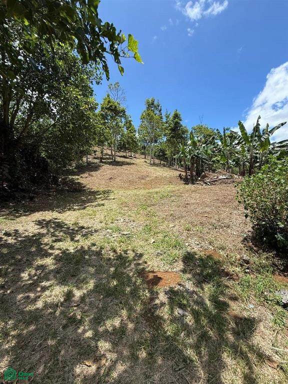 s/n Las Colonias - Photo 1