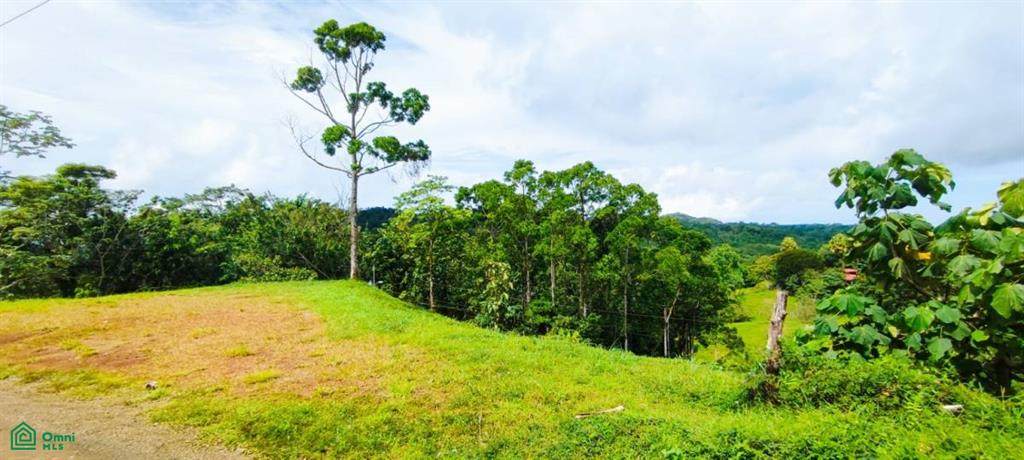 320 Tarcolitos, Jaco - Photo 1