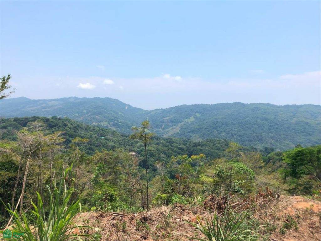  Address Not Published - Photo 1