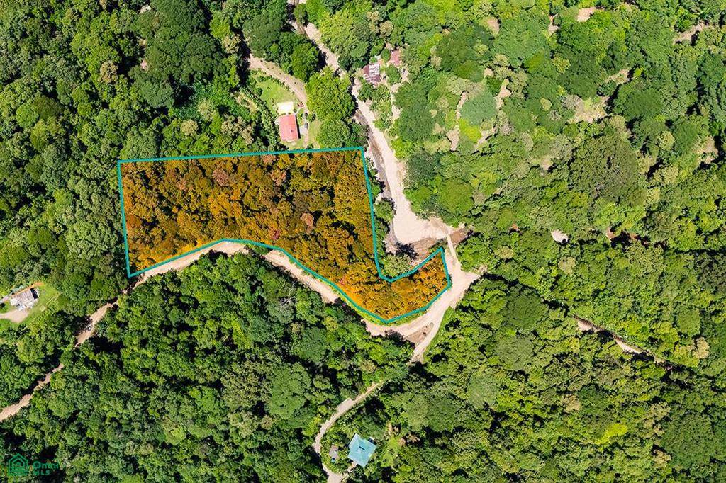  38Qm+Wmp Ojochal, Provincia De Puntarenas - Photo 1