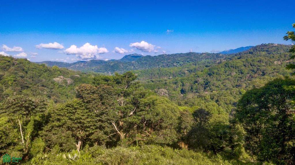  Address Not Published - Photo 1