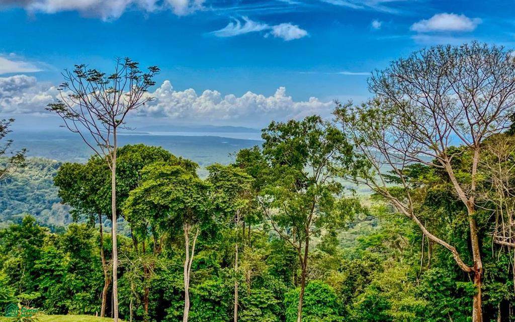  Address Not Published - Photo 1