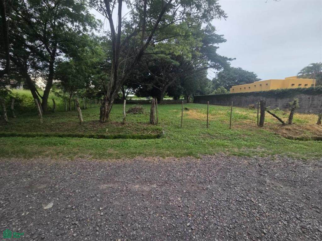  Tres Flautas - Photo 1