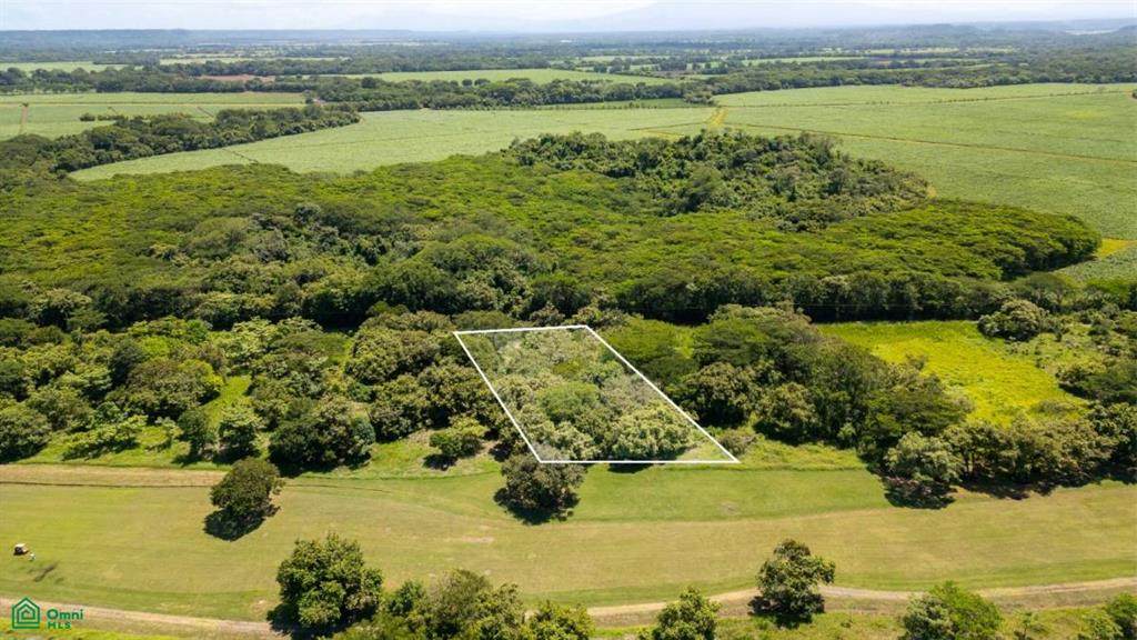 TVSL LOT16B Ruta Nacional Treciaria 912, Provincia De Guanacas - Photo 1