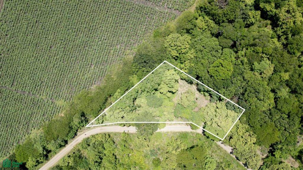 TVSL LOT 23 B Ruta Nacional Treciaria 912, Provincia De Guanacas - Photo 1