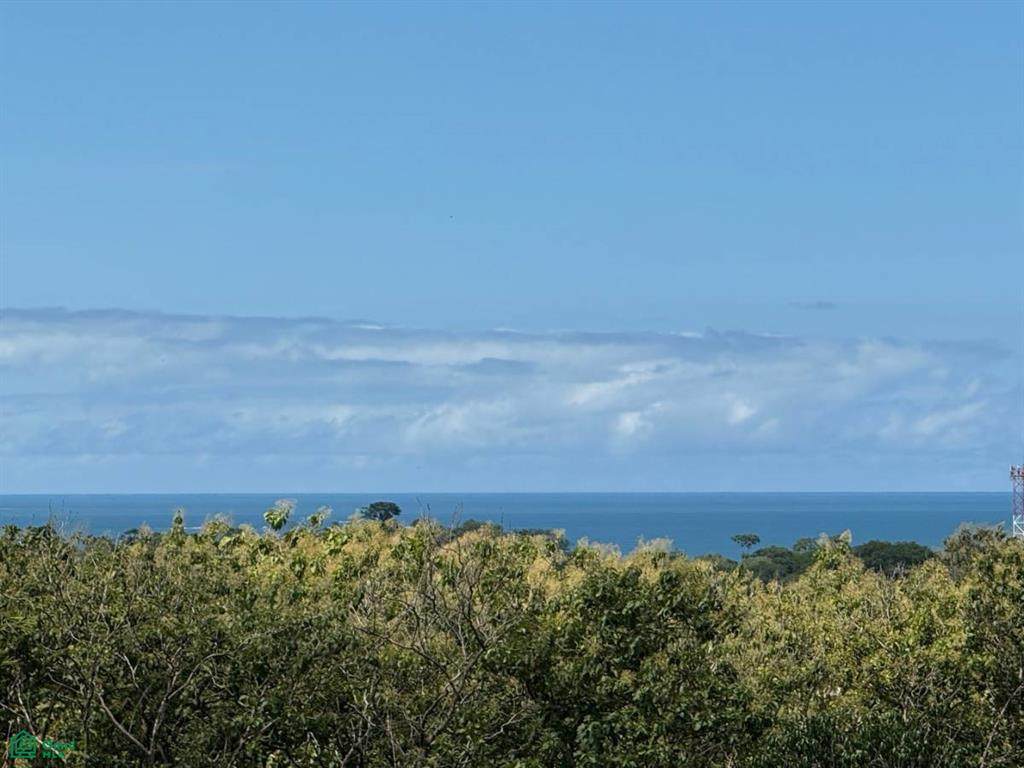 s/n Calle De La Rosa - Photo 1