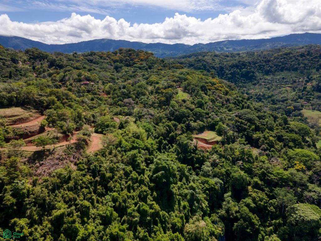  Platanillo - Photo 1