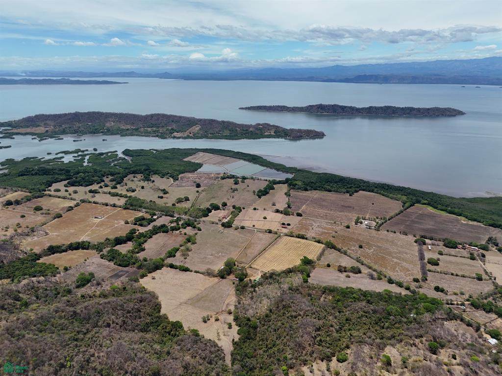 1 Loma Verde - Photo 1