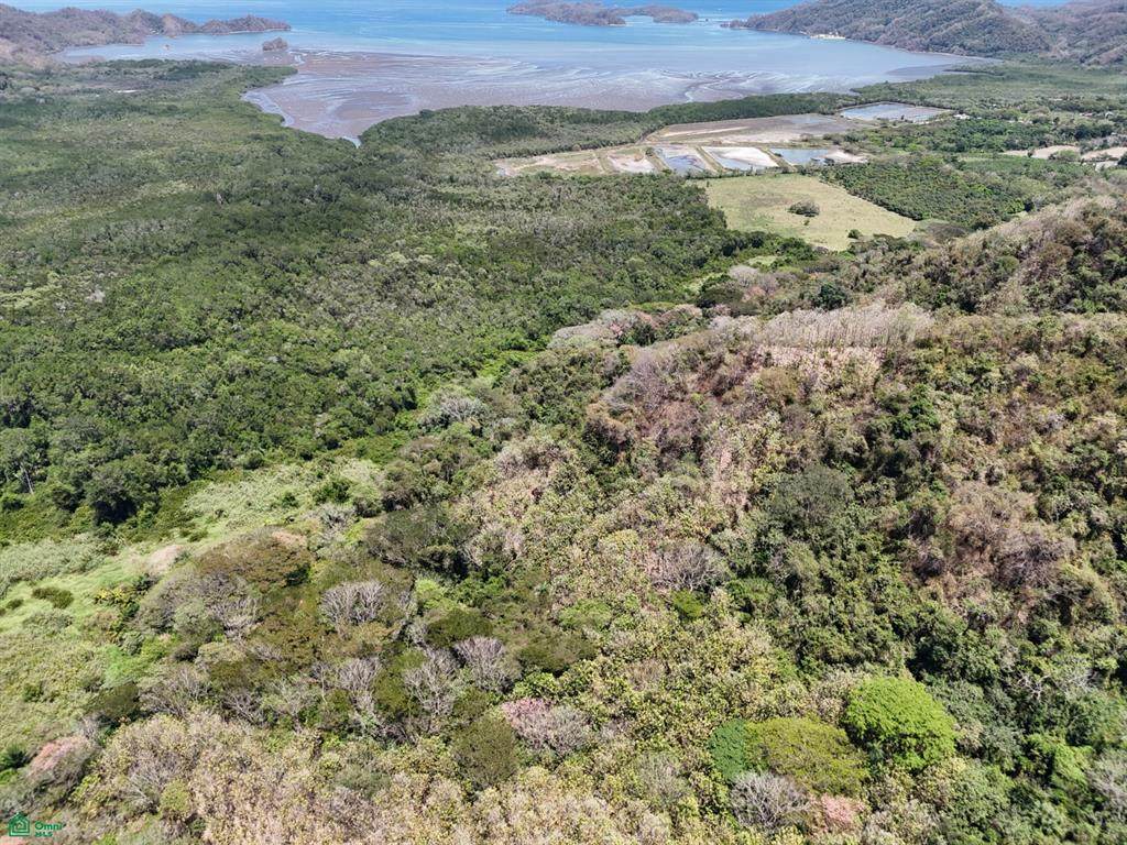 124 Acres Picco Del Mar Paquera - Photo 1