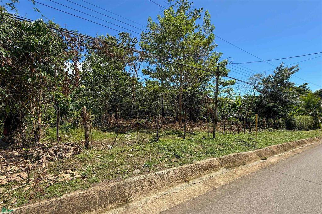 33 Calle Del Bosque - Photo 1