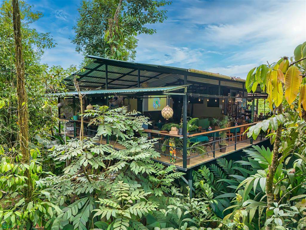  Calle Mariposa - Photo 1