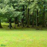  Calle Cuatro Esquinas - Photo 3