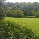  Calle Cuatro Esquinas - Photo 4