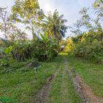  Ruta Provincial - Photo 5