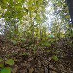  Ruta Provincial - Photo 7