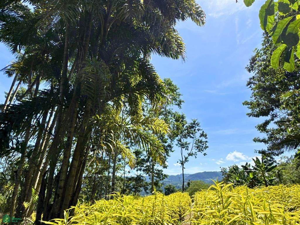  Alto Varas - Photo 1