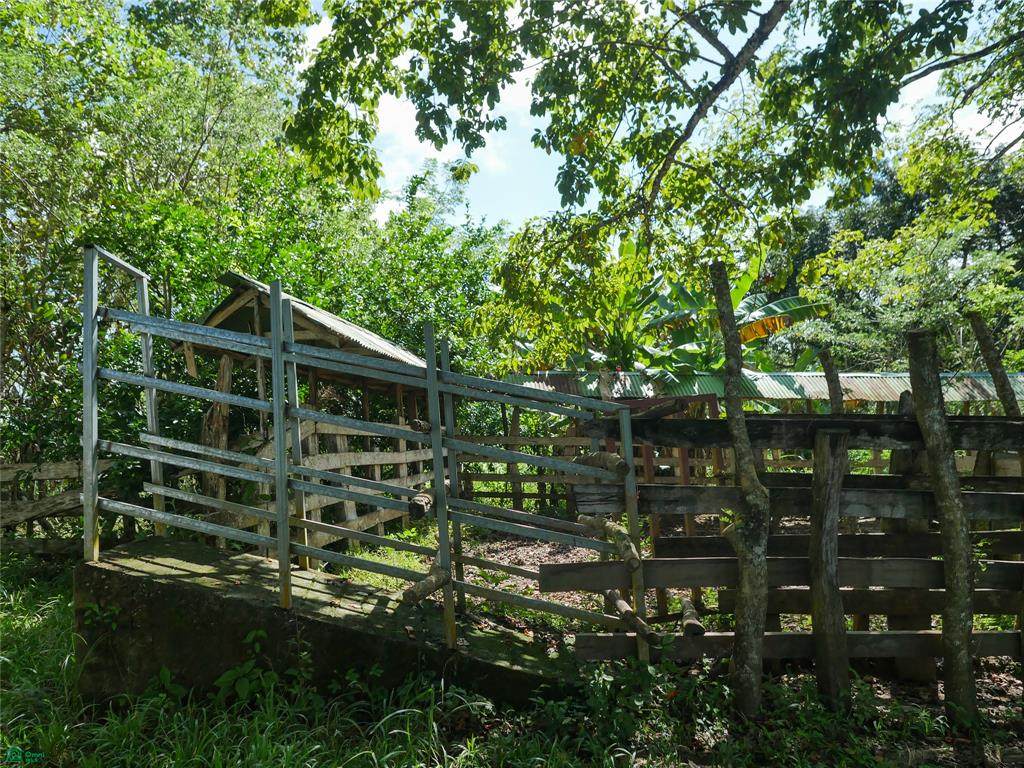  Ruta 160 /Cobano Rio Negro - Photo 1