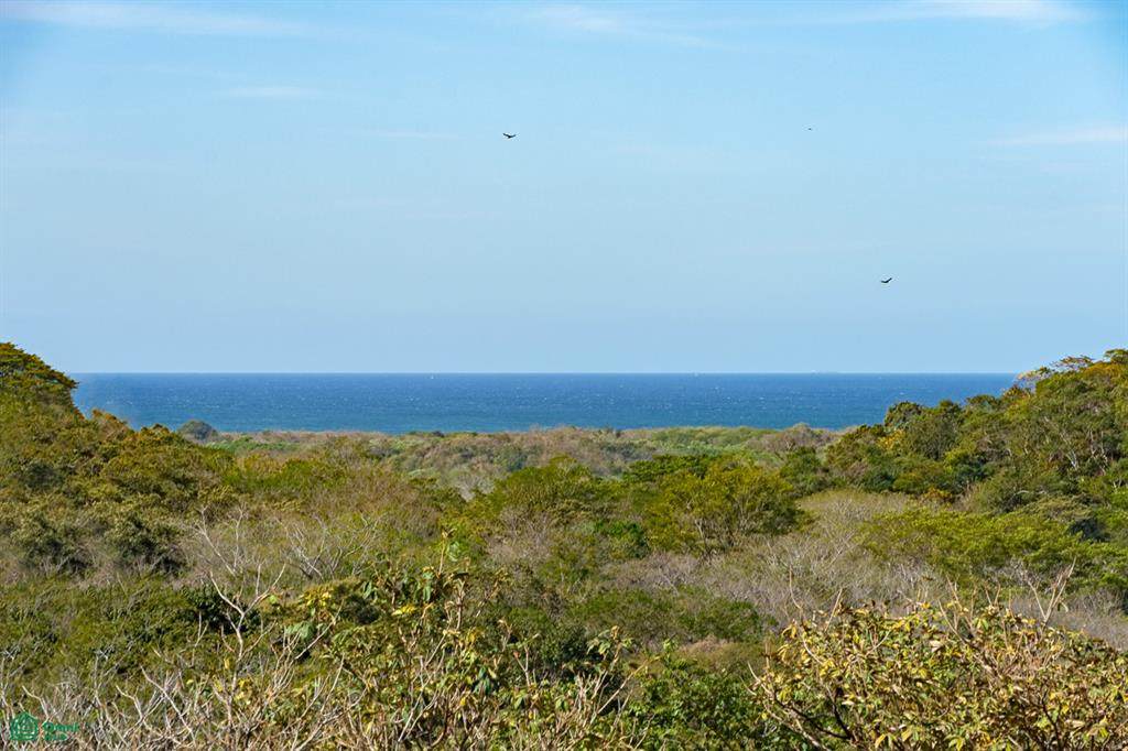  El Sue&ntilde;o, Los Jobos, Tamarindo - Photo 1