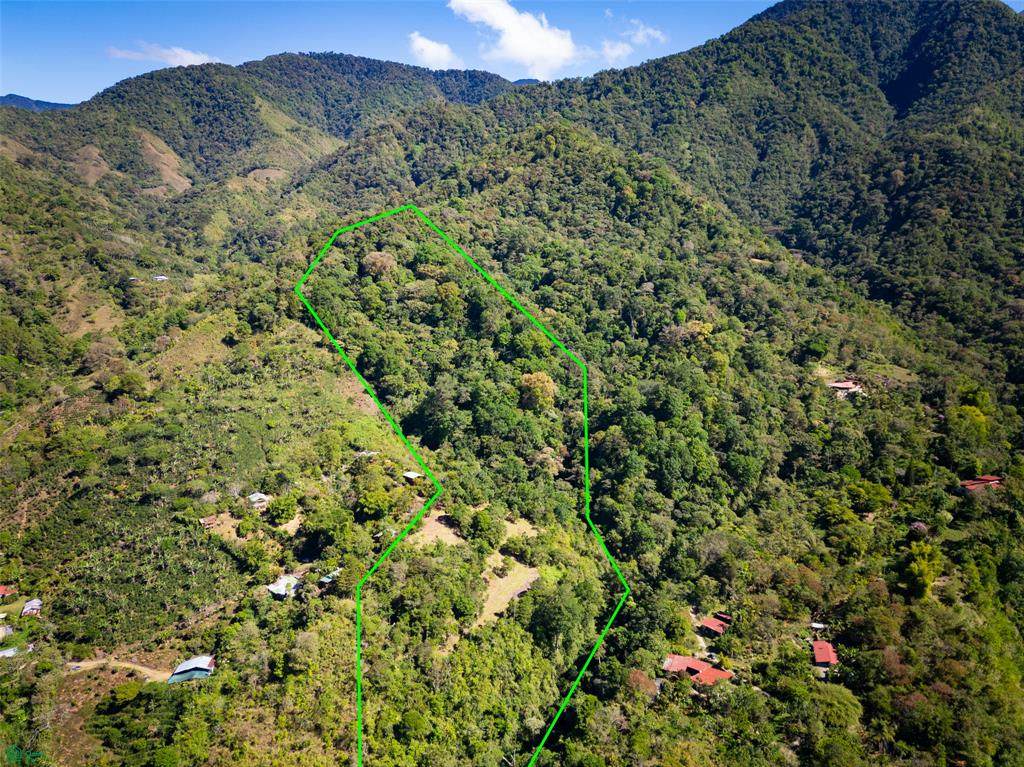  Finca Talamanca - Photo 1