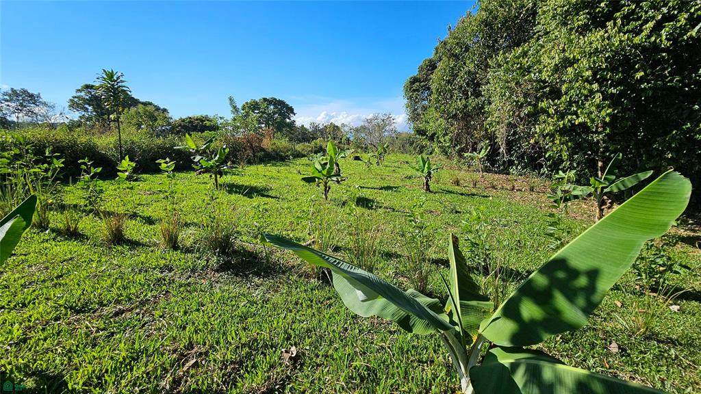  Playa Verde Creekside Lot - Photo 1