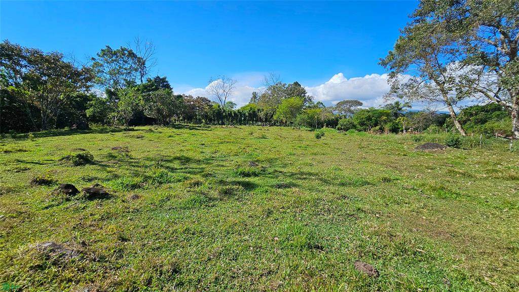  Playa Verde Permaculture Corner Lot - Photo 1