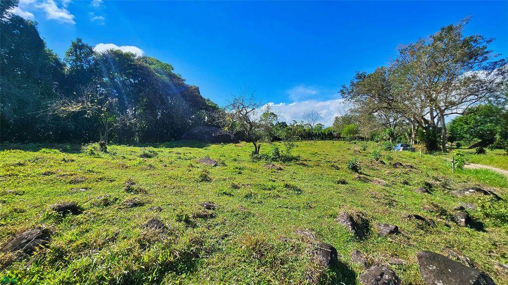  Playa Verde Permaculture Lot - Photo 1