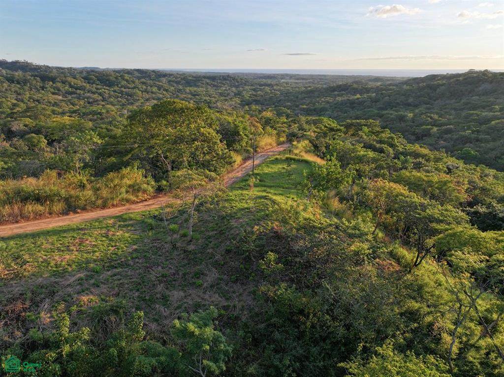  Calle Los Planes - Photo 1